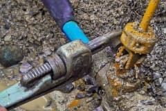 CARAPACE installed in wet location