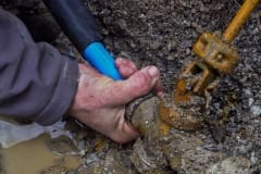 CARAPACE installed in wet location