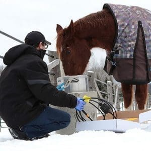 Contractor installing self-regulating heating cable to livestock drinking bowl at farm in winter